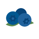 Blueberry