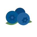 Blueberry
