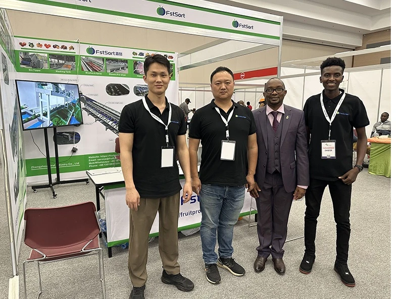 avocado grading packing line.webp