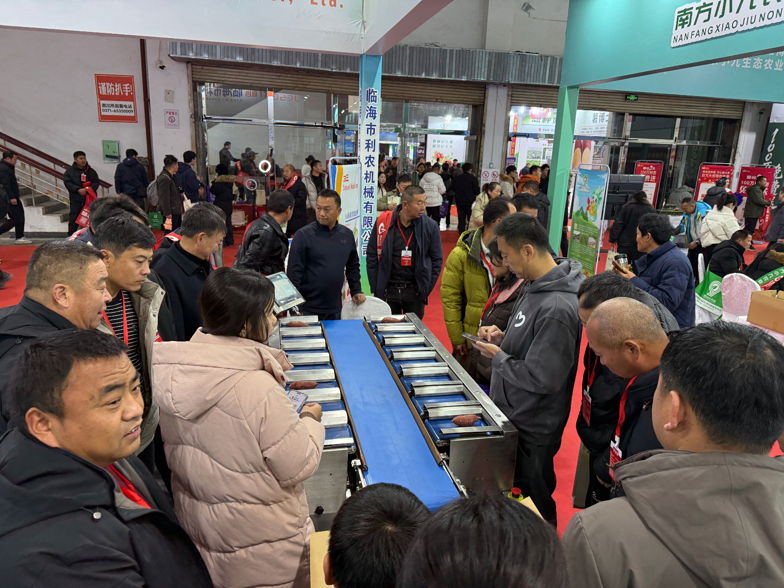 红薯展会6.JPG