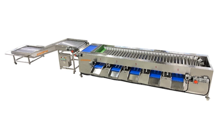 Cucumber sorting machine: Promote the standardization and upgrading of the cucumber industry