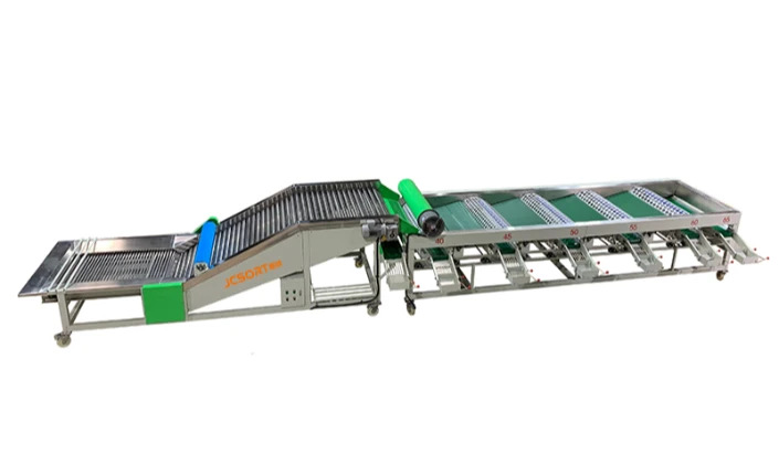 JCSORT Garlic Drum Size Grader: Setting a New Standard for Precision Grading in the Garlic Processin