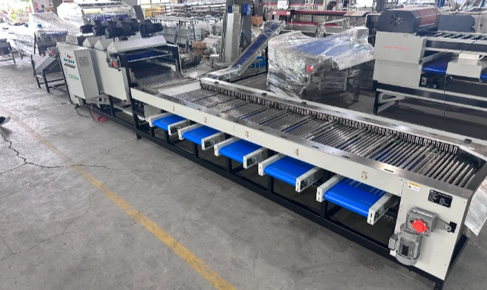 Why do Middle Eastern customers prefer JCSORT customized date graders?