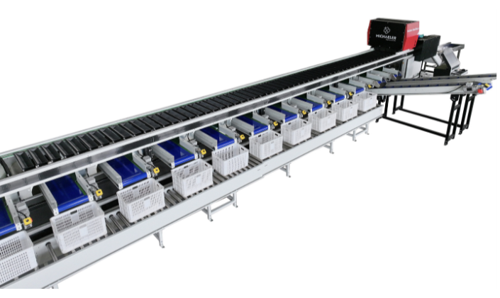 从田间到餐桌，精准分选是红薯增值的关键一跃