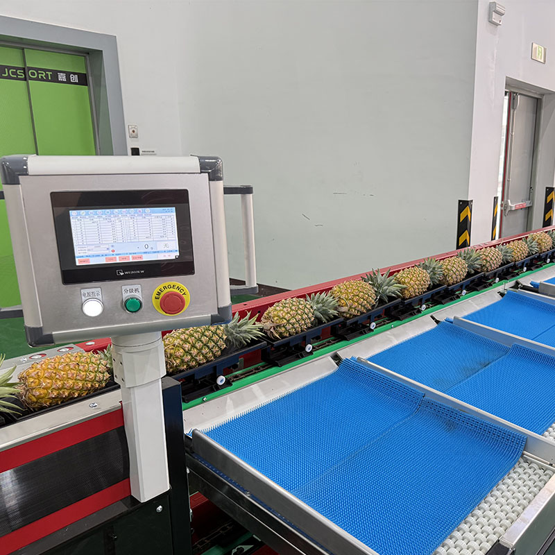 Manual Pineapple Weight Grading Machine