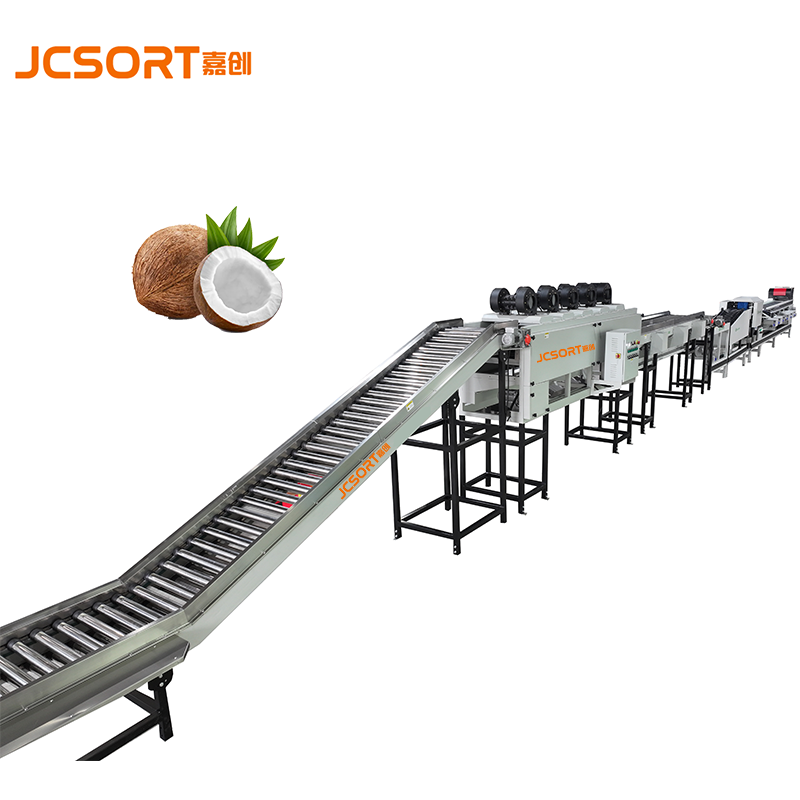 JCSORT Coconut Weight Grading Line | Fully automated, high-precision sorting that empowers the stand