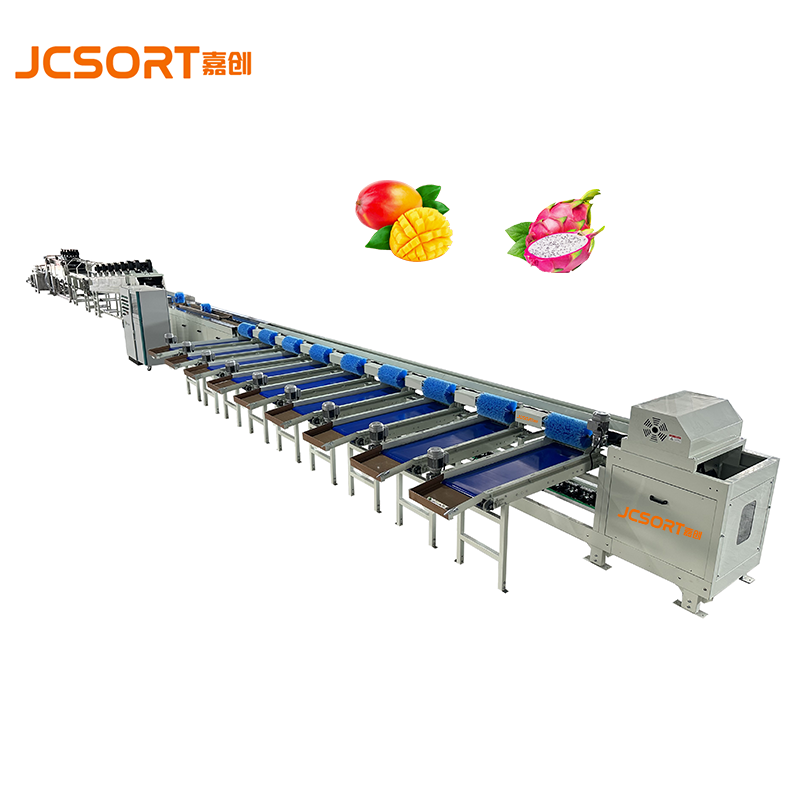What are the advantages of the JCSORT dragon fruit and mango weight grader?